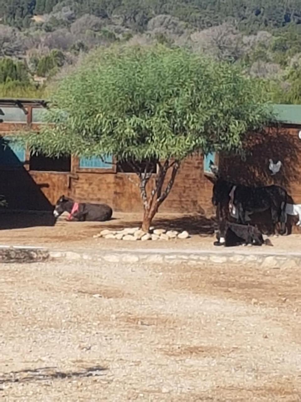 فندق La Maison الصويرة المظهر الخارجي الصورة